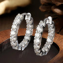 Luminous Glow Earrings – A Fine and Refined Sparkle