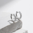 Subtle Elegance Earrings