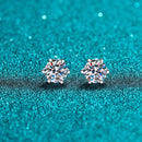 Crystal Glow Earrings