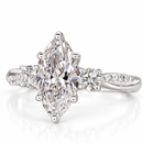 Altesse Ring — A Naturally Majestic Light
