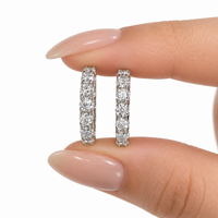 <tc>Boucles d’oreilles Éclat Lumineux – une brillance délicate et raffinée</tc>