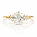 Clearing Ring — Light at the Heart of Nature
